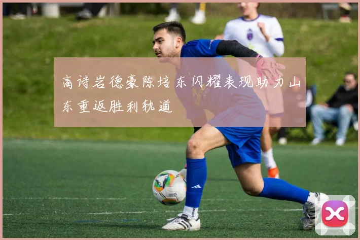 高诗岩德豪陈培东闪耀表现助力山东重返胜利轨道