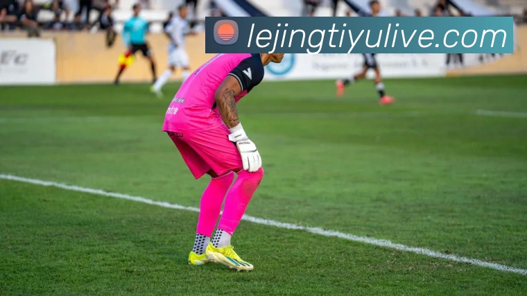 乐竟体育品牌故事