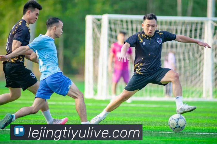 乐竟体育服务体系